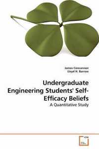 Undergraduate Engineering Students' Self-Efficacy Beliefs