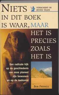 Niets in dit boek is waar, maar het is precies zoals het is