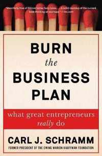 Burn the Business Plan