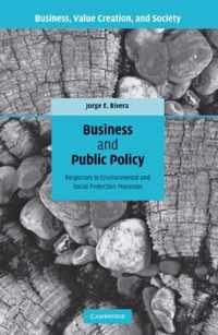 Business and Public Policy