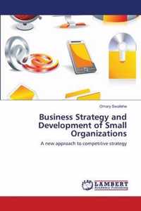 Business Strategy and Development of Small Organizations