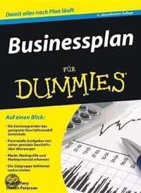 Businessplan Fur Dummies