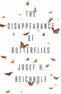 The Disappearance of Butterflies