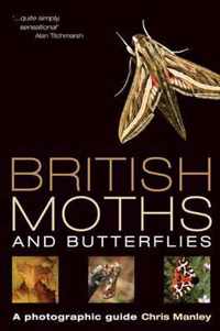 British Moths and Butterflies