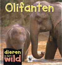 Dieren in het wild - Olifanten