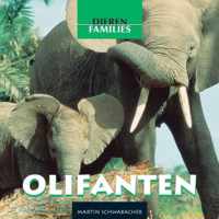 Dierenfamilies  -   Olifanten