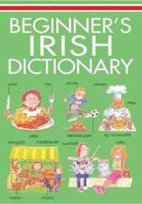 Beginner's Irish Dictionary