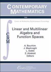 Linear and Multilinear Algebra and Function Spaces