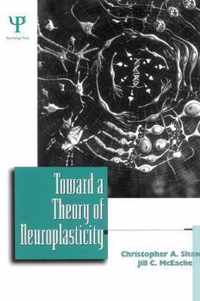 Toward a Theory of Neuroplasticity