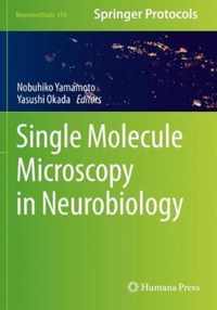 Single Molecule Microscopy in Neurobiology