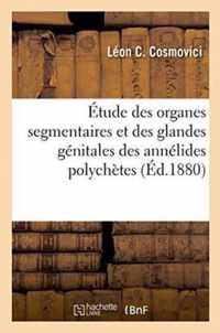 Etude Des Organes Segmentaires Et Des Glandes Genitales Des Annelides Polychetes