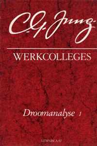 Werkcolleges 3. droomanalyse 1