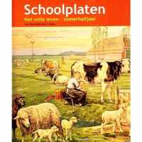 Schoolplaten Het volle leven - zomerhalfjaar