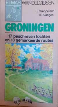 Groningen wandelgids