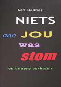 Niets aan jou was stom en andere verhalen