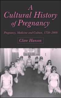 A Cultural History of Pregnancy