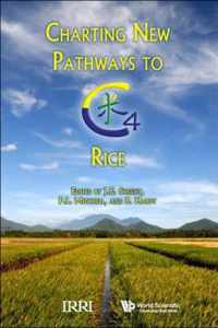 Charting New Pathways To C4 Rice