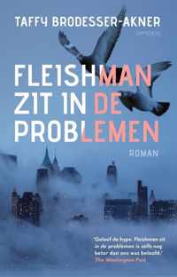 Fleishman zit in de problemen