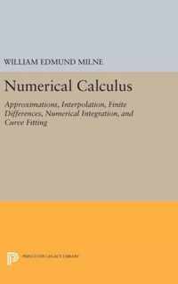 Numerical Calculus