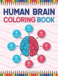 Human Brain Coloring Book