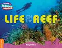 Cambridge Reading Adventures Life on the Reef Orange Band
