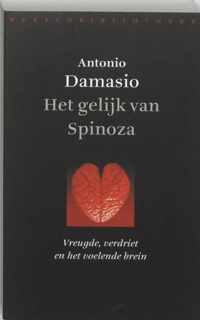 Het gelijk van Spinoza