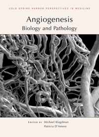 Angiogenesis