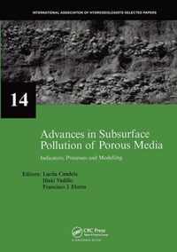 Advances in Subsurface Pollution of Porous Media - Indicators, Processes and Modelling