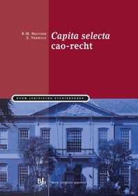 Boom Juridische studieboeken  -   Capita selecta cao-recht