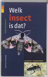 Welk insect is dat?