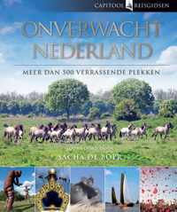 Capitool Reisgidsen: Onverwacht Nederland - Bartho Hendriksen - Hardcover (9789000325382)