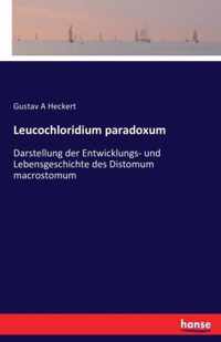 Leucochloridium paradoxum