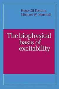 The Biophysical Basis of Excitability