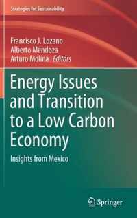 Energy Issues and Transition to a Low Carbon Economy