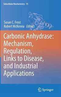 Carbonic Anhydrase