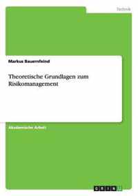 Theoretische Grundlagen zum Risikomanagement