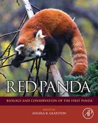 Red Panda