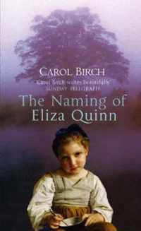 The Naming Of Eliza Quinn