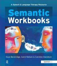 Semantic Workbooks