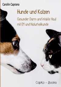 Hunde und Katzen