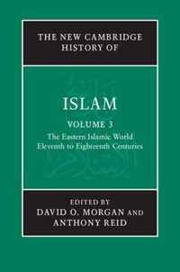 The New Cambridge History of Islam