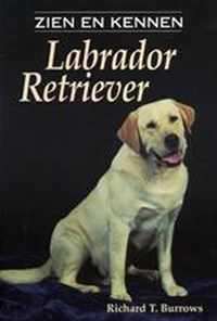 Labrador Retriever Zien En Kennen