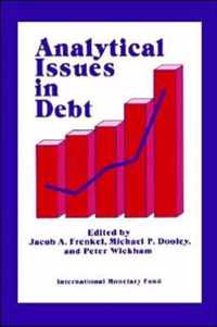 Analytical Issues in Debt