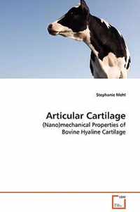 Articular Cartilage