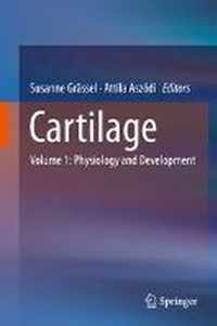 Cartilage 01