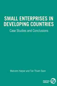 Small Enterprises in Developing Countries