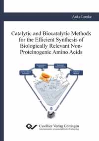 Catalytic and Biocatalytic Methods for the Efficient Synthesis of Biologically Relevant Non-Proteinogenic Amino Acids