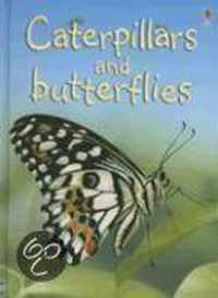 Caterpillars and Butterflies