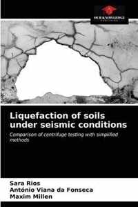 Liquefaction of soils under seismic conditions