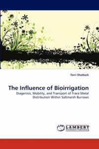 The Influence of Bioirrigation